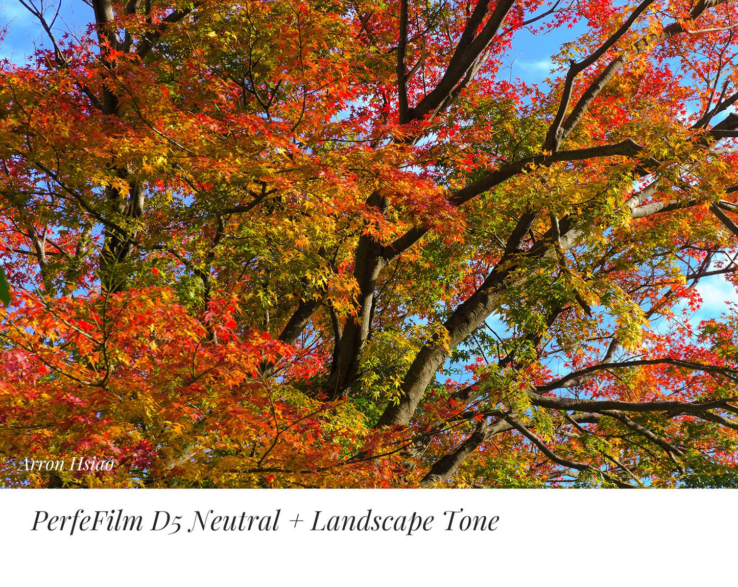 PerfeFilm D5 Lightroom 色彩描述檔, 單一相機授權。模擬 Nikon D5 色彩