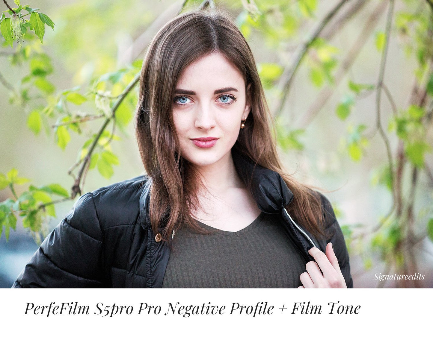 PerfeFilm 數位相機套餐 : 所有數位相機 Lightroom 色彩描述檔, 單一相機許可證