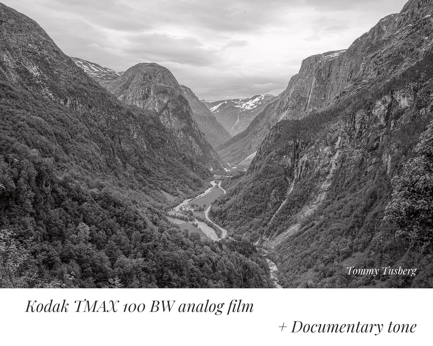 PerfeFilm 黑白底片 : Lightroom 色彩描述檔, 單一相機許可證