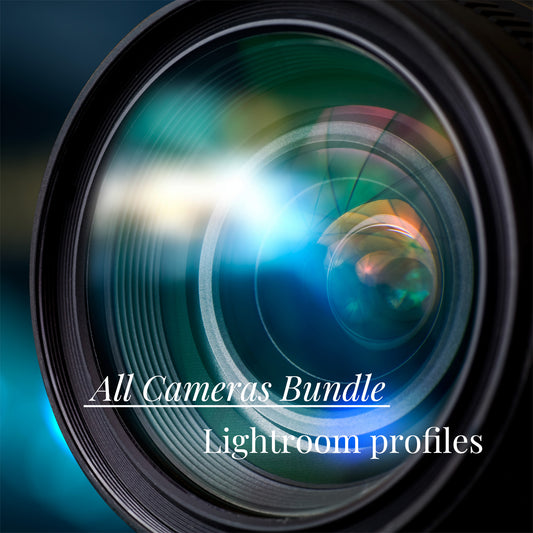 PerfeFilm 數位相機套餐 : 所有數位相機 Lightroom  色彩描述檔, 單一相機許可證